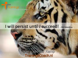 I will persist until I succeed!