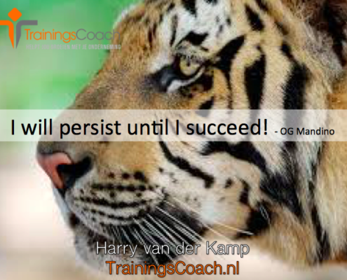 I will persist until I succeed!